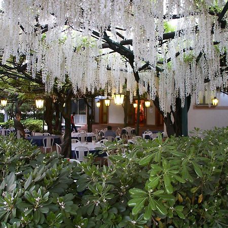 פסקיארה דל גארדה Albergo Ristorante Papa מראה חיצוני תמונה